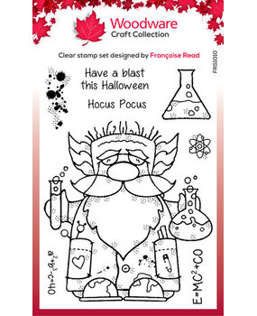 Woodware Professor Gnome Clear Stamps (FRS1010)