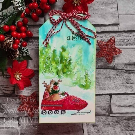 Creative Expressions Jane's Doodles Clear Stamp Set Santa's Coming To Town (CEC1034) Creative Expressions Jane's Doodles Clear Stamp Set Santa's Coming To Town (CEC1034)