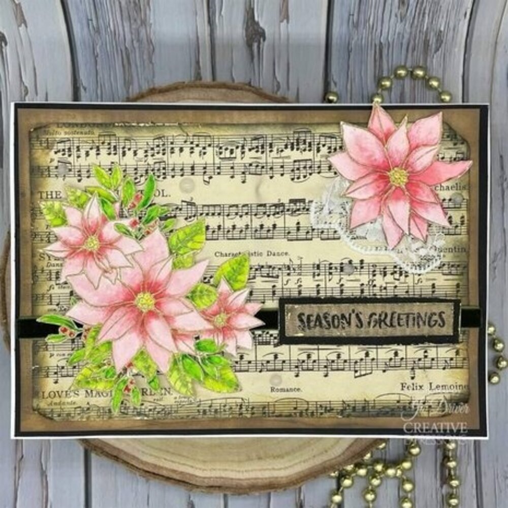 Creative Expressions Jane's Doodles Clear Stamp Set Poinsettia (CEC1036) Creative Expressions Jane's Doodles Clear Stamp Set Poinsettia (CEC1036)