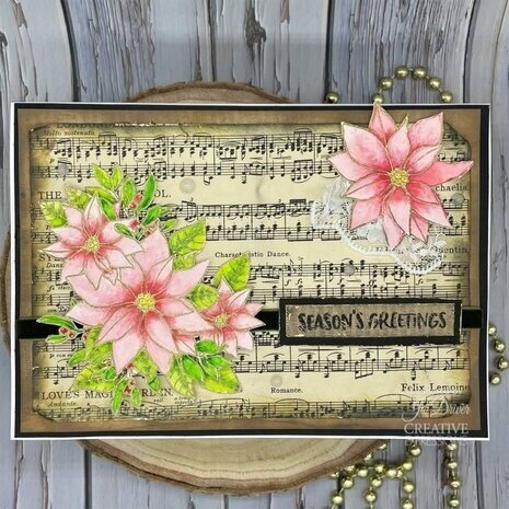 Creative Expressions Jane's Doodles Clear Stamp Set Poinsettia (CEC1036) Creative Expressions Jane's Doodles Clear Stamp Set Poinsettia (CEC1036)