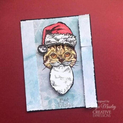 Jane Davenport Clear Stamps Kitty Christmas (CEJDCS024) Jane Davenport Clear Stamps Kitty Christmas (CEJDCS024)