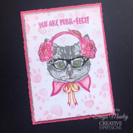 Jane Davenport Clear Stamps Kitty Christmas (CEJDCS024) Jane Davenport Clear Stamps Kitty Christmas (CEJDCS024)