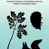 Studio Light Essentials Clear Stamp Forest Animals (SL-ES-STAMP496) Studio Light Essentials Clear Stamp Forest Animals (SL-ES-STAMP496)