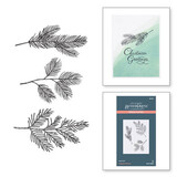 Spellbinders Evergreen Branches Press Plate (BP-067)