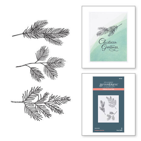 Spellbinders Evergreen Branches Press Plate (BP-067)