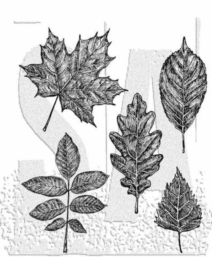 Stampers Anonymous Cling Stamps Sketchy Leaves (CMS467)
