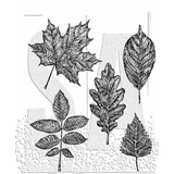 Stampers Anonymous Cling Stamps Sketchy Leaves (CMS467)