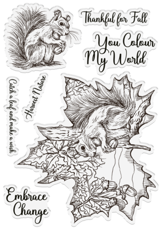 Sheena Timeless Leaves Clear Stamps Nature's Harvest (SD-ITF-TL-STP-NH) Sheena Timeless Leaves Clear Stamps Nature's Harvest (SD-ITF-TL-STP-NH)