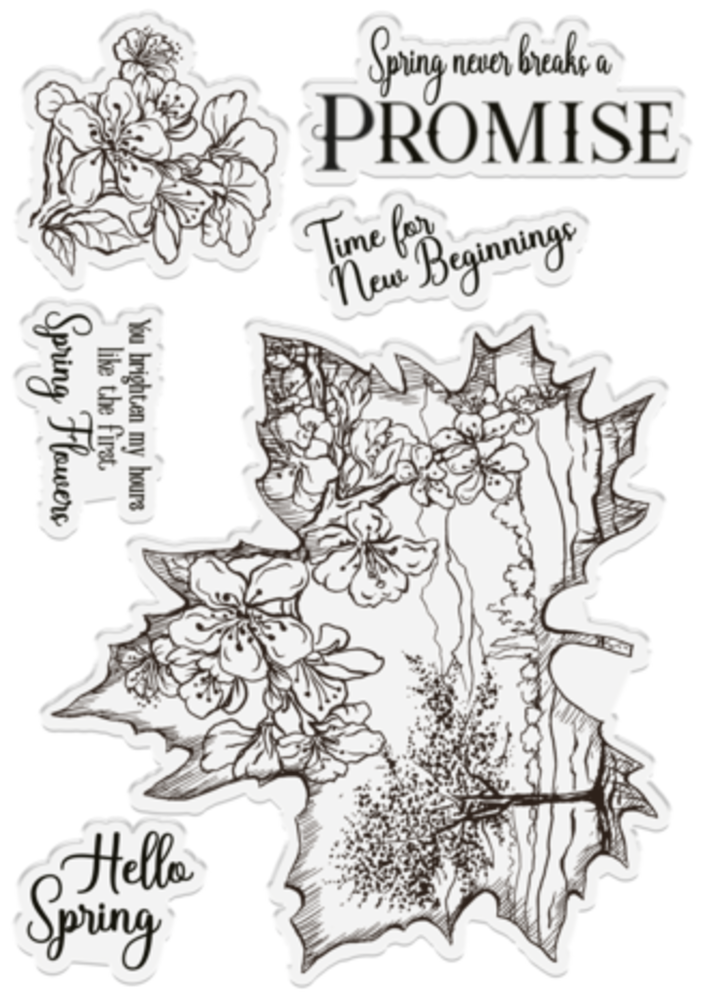 Sheena Timeless Leaves Clear Stamps Spring Blossom (SD-ITF-TL-STP-SB) Sheena Timeless Leaves Clear Stamps Spring Blossom (SD-ITF-TL-STP-SB)