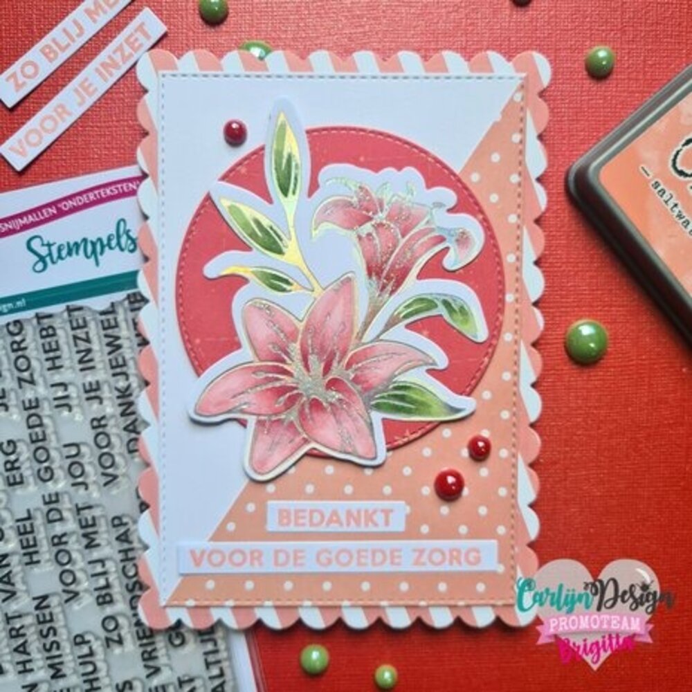 Carlijn Design Stempels Onderteksten Bedankt (CDST-0105)