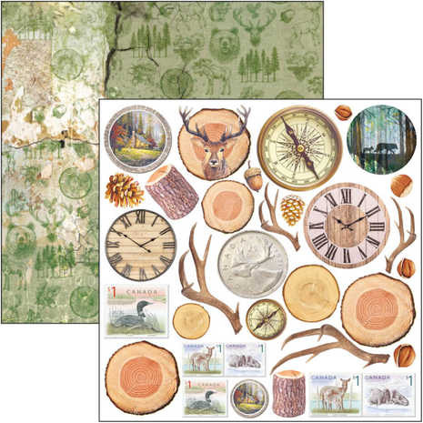 Ciao Bella Papercrafting Into the Wild 6x6 Inch Paper Pad (CBQE067) Ciao Bella Papercrafting Into the Wild 6x6 Inch Paper Pad (CBQE067)