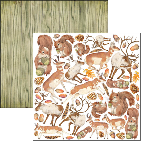 Ciao Bella Papercrafting Into the Wild 6x6 Inch Paper Pad (CBQE067) Ciao Bella Papercrafting Into the Wild 6x6 Inch Paper Pad (CBQE067)