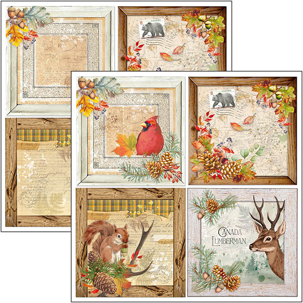 Ciao Bella Papercrafting Into the Wild 12x12 Inch Patterns Pad (CBT067) Ciao Bella Papercrafting Into the Wild 12x12 Inch Patterns Pad (CBT067)