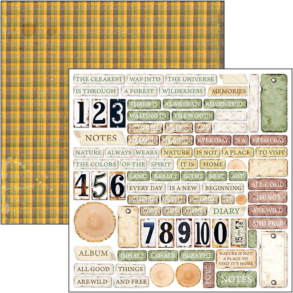 Ciao Bella Papercrafting Into the Wild 12x12 Inch Patterns Pad (CBT067) Ciao Bella Papercrafting Into the Wild 12x12 Inch Patterns Pad (CBT067)