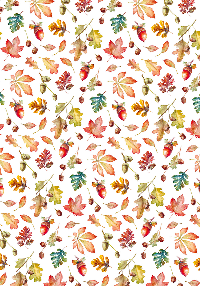 Ciao Bella Papercrafting Into the Wild A4 Vellum Paper (CBV006) Ciao Bella Papercrafting Into the Wild A4 Vellum Paper (CBV006)