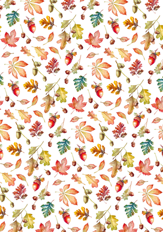 Ciao Bella Papercrafting Into the Wild A4 Vellum Paper (CBV006) Ciao Bella Papercrafting Into the Wild A4 Vellum Paper (CBV006)