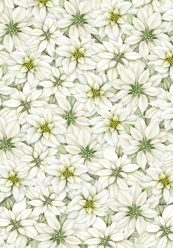 Ciao Bella Papercrafting Sparkling Christmas A4 Vellum Paper (CBV008) Ciao Bella Papercrafting Sparkling Christmas A4 Vellum Paper (CBV008)