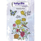 IndigoBlu Climbing Rose A6 Rubber Stamps (IND1183)