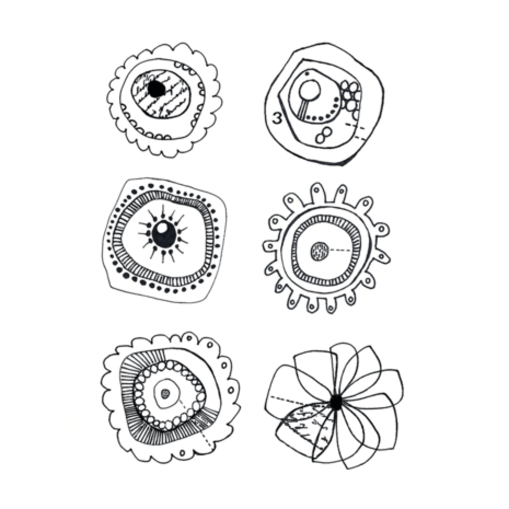 Crafty Individuals Floral Abstractions Blooms Unmounted Rubber Stamps (CI-632) Crafty Individuals Floral Abstractions Blooms Unmounted Rubber Stamps (CI-632)
