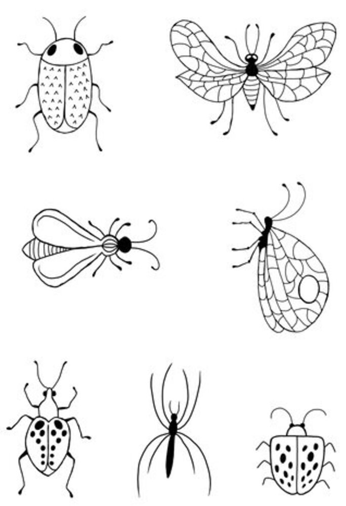 Woodware Bug Doodles Clear Stamps (JGS865) Woodware Bug Doodles Clear Stamps (JGS865)