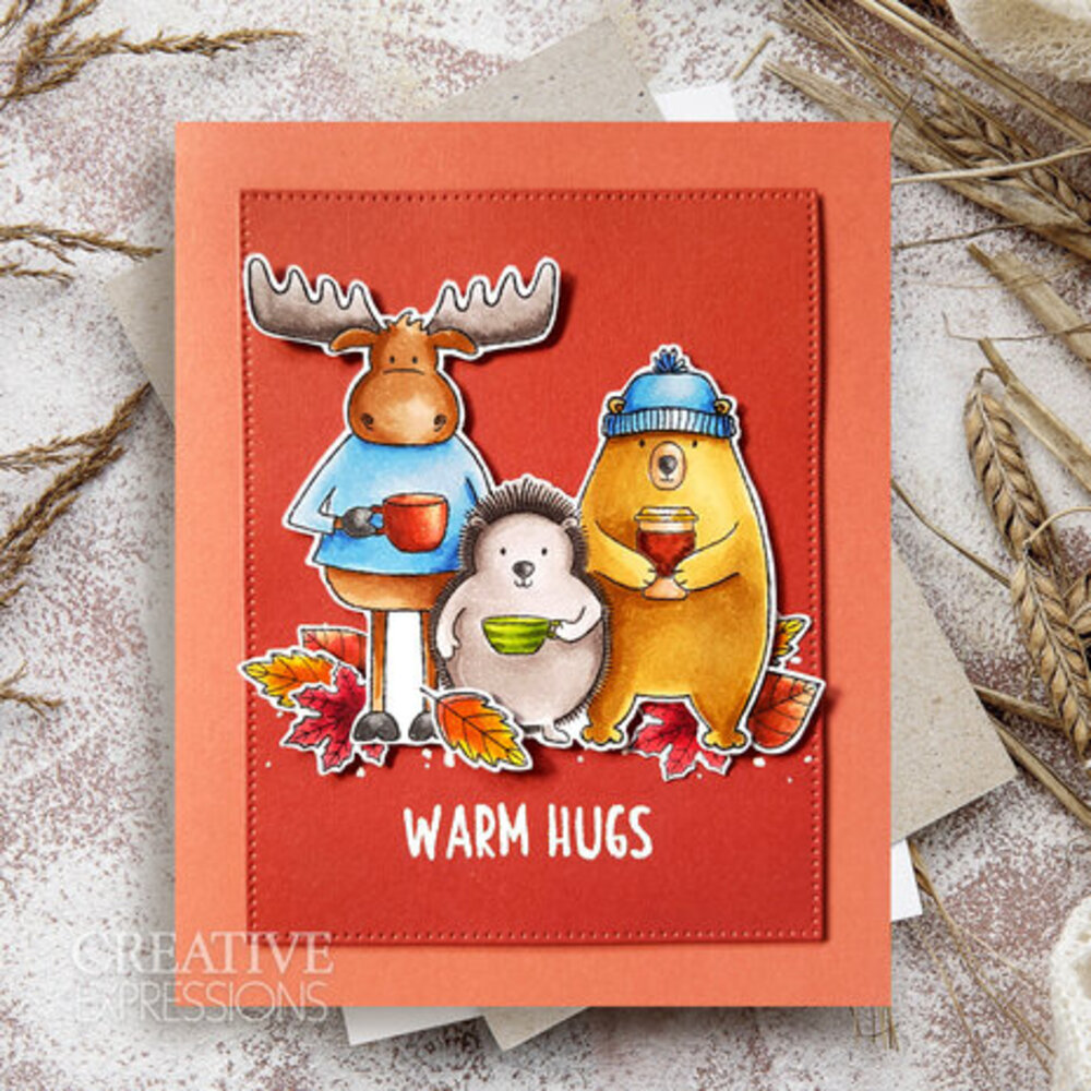 Creative Expressions Jane's Doodles Clear Stamp Set Warm Hugs (CEC1048)