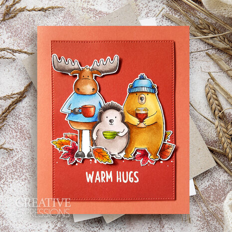 Creative Expressions Jane's Doodles Clear Stamp Set Warm Hugs (CEC1048)