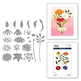 Spellbinders Photosyntesis Floral Stems Dies (S6-215)