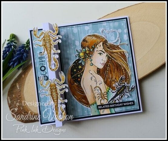 Pink Ink Designs Astrology Series Scorpio "The Debater" A5 Clear Stamps (PI233)