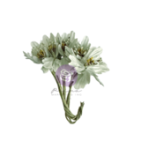 Prima Marketing Inc Lost In Wonderland Flowers Timeless Tales (665739)