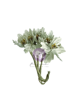 Prima Marketing Inc Lost In Wonderland Flowers Timeless Tales (665739) Prima Marketing Inc Lost In Wonderland Flowers Timeless Tales (665739)