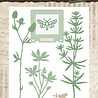 Studio Light Natures Dream Snijmal Long Botanical Twigs (HE-ND-CD707) Studio Light Natures Dream Snijmal Long Botanical Twigs (HE-ND-CD707)