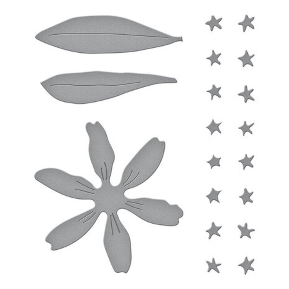 Spellbinders Birds & Bees Garden Black Eyed Susan Dies (S2-376) Spellbinders Birds & Bees Garden Black Eyed Susan Dies (S2-376)