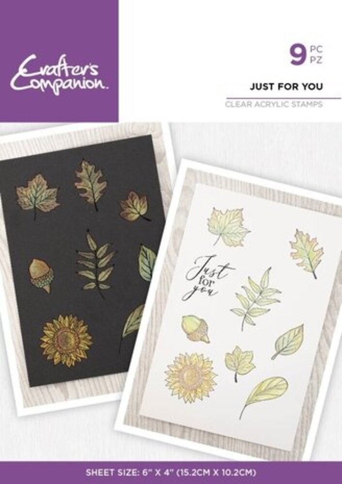 Crafter's Companion Shimmer Watercolour Clear Stamp Just For You (CC-IST-CA-ST-JUFU)