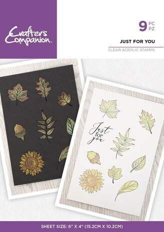 Crafter's Companion Shimmer Watercolour Clear Stamp Just For You (CC-IST-CA-ST-JUFU)