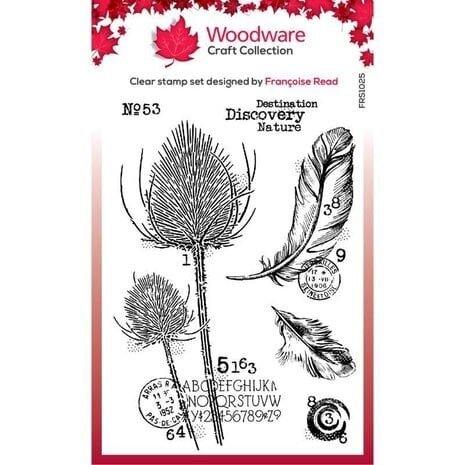 Woodware Discovery Clear Stamps (FRS1025)