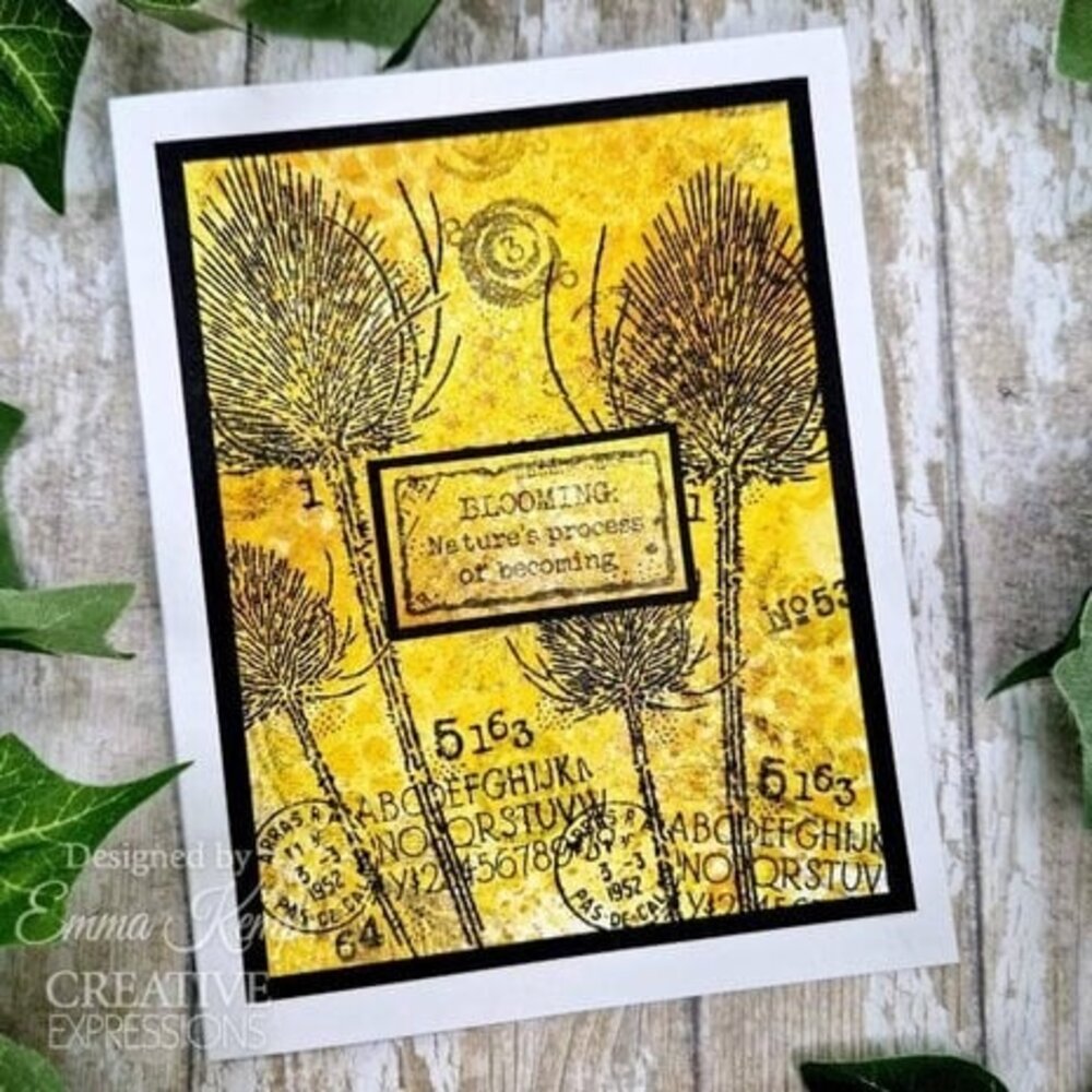 Woodware Discovery Clear Stamps (FRS1025)