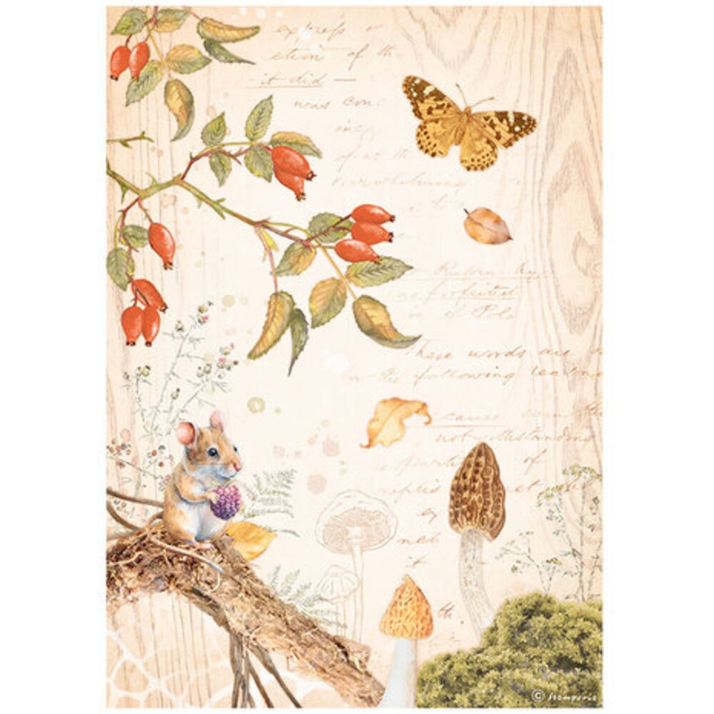 Stamperia Woodland Butterfly Rice Paper A4 (DFSA4817) Stamperia Woodland Butterfly Rice Paper A4 (DFSA4817)