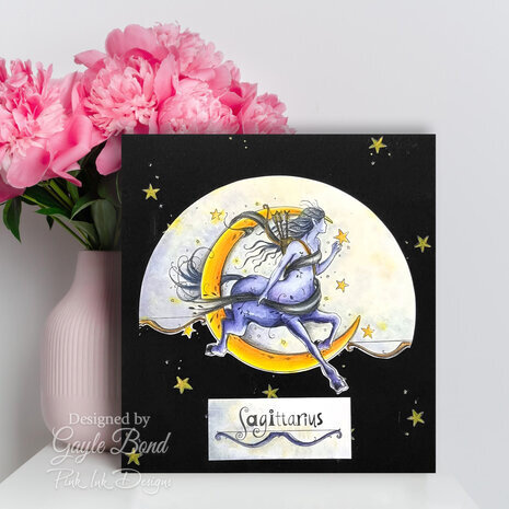 Pink Ink Designs Astrology Series Sagittarius "Knowledge Seeker" A5 Clear Stamps (PI234) Pink Ink Designs Astrology Series Sagittarius "Knowledge Seeker" A5 Clear Stamps (PI234)