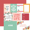 Echo Park Year In Review 12x12 Inch Collection Kit (YIR337016) Echo Park Year In Review 12x12 Inch Collection Kit (YIR337016)