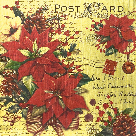 Ciao Bella Papercrafting Christmas Vibes 6x6 Inch Deluxe Paper (CBDS006) Ciao Bella Papercrafting Christmas Vibes 6x6 Inch Deluxe Paper (CBDS006)