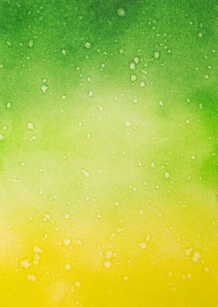 Studio Light Essentials Water-Reactive Ink Pads Greens (SL-ES-INKP13) Studio Light Essentials Water-Reactive Ink Pads Greens (SL-ES-INKP13)