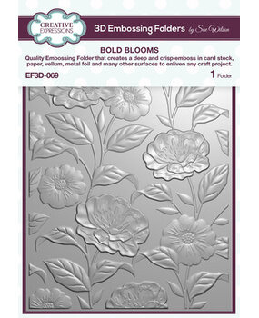 Creative Expressions Bold Blooms 3D Embossing Folder (EF3D-069) Creative Expressions Bold Blooms 3D Embossing Folder (EF3D-069)