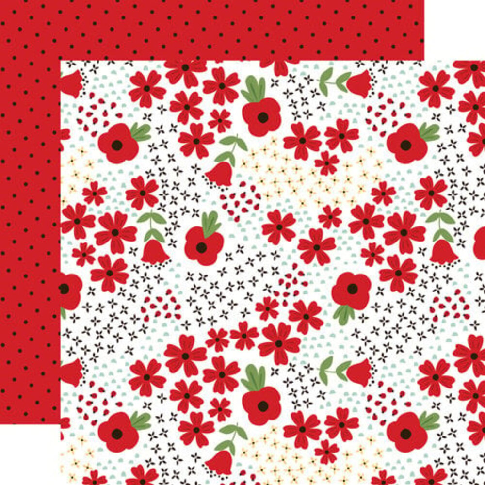 Echo Park Little Ladybug 12x12 Inch Collection Kit (LLB347016)