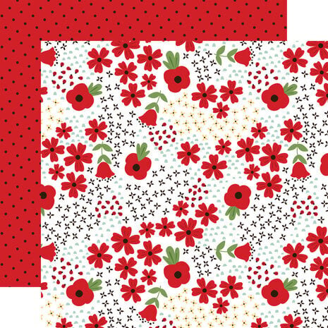 Echo Park Little Ladybug 12x12 Inch Collection Kit (LLB347016)