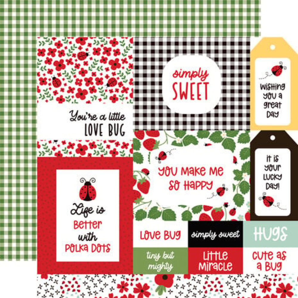 Echo Park Little Ladybug 12x12 Inch Collection Kit (LLB347016)