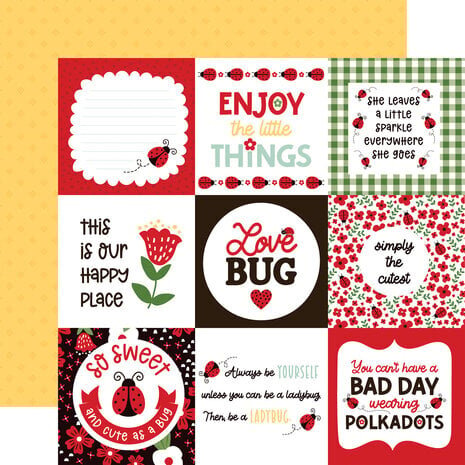 Echo Park Little Ladybug 12x12 Inch Collection Kit (LLB347016)