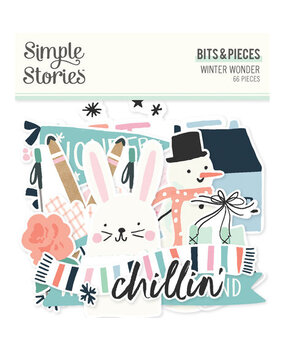 Simple Stories Winter Wonder Bits & Pieces (21218)