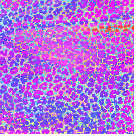 Crafter's Companion Neon Dreams 12x12 Inch Paper Pad (CC-PAD12-NEDR)