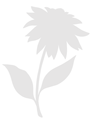 Crafter's Companion Floral Collage Clear Stamp & Mask Exquisite Echinacea (CC-CA-ST-EXECH)