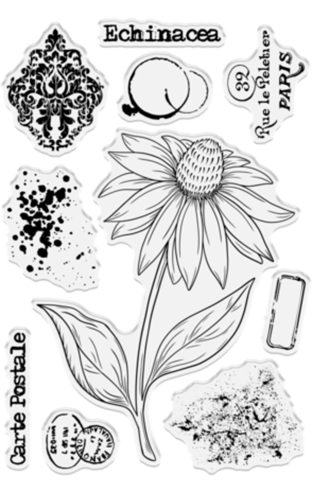 Crafter's Companion Floral Collage Clear Stamp & Mask Exquisite Echinacea (CC-CA-ST-EXECH)